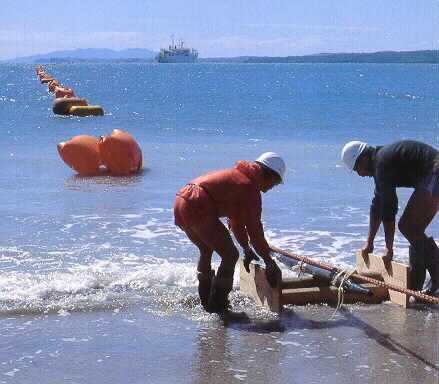 Cable coming ashore in New Zealand